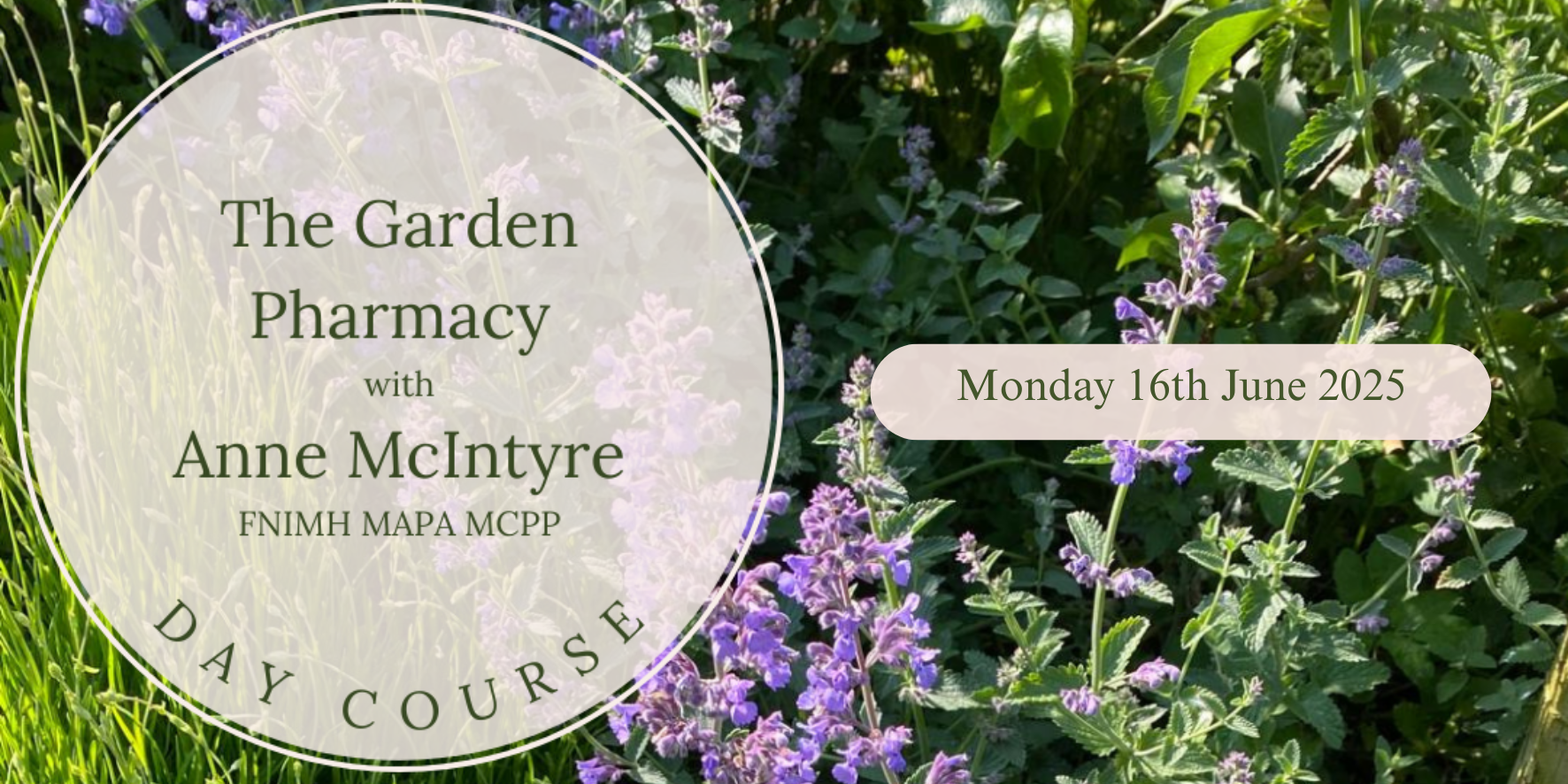 The Garden Pharmacy with Anne McIntyre